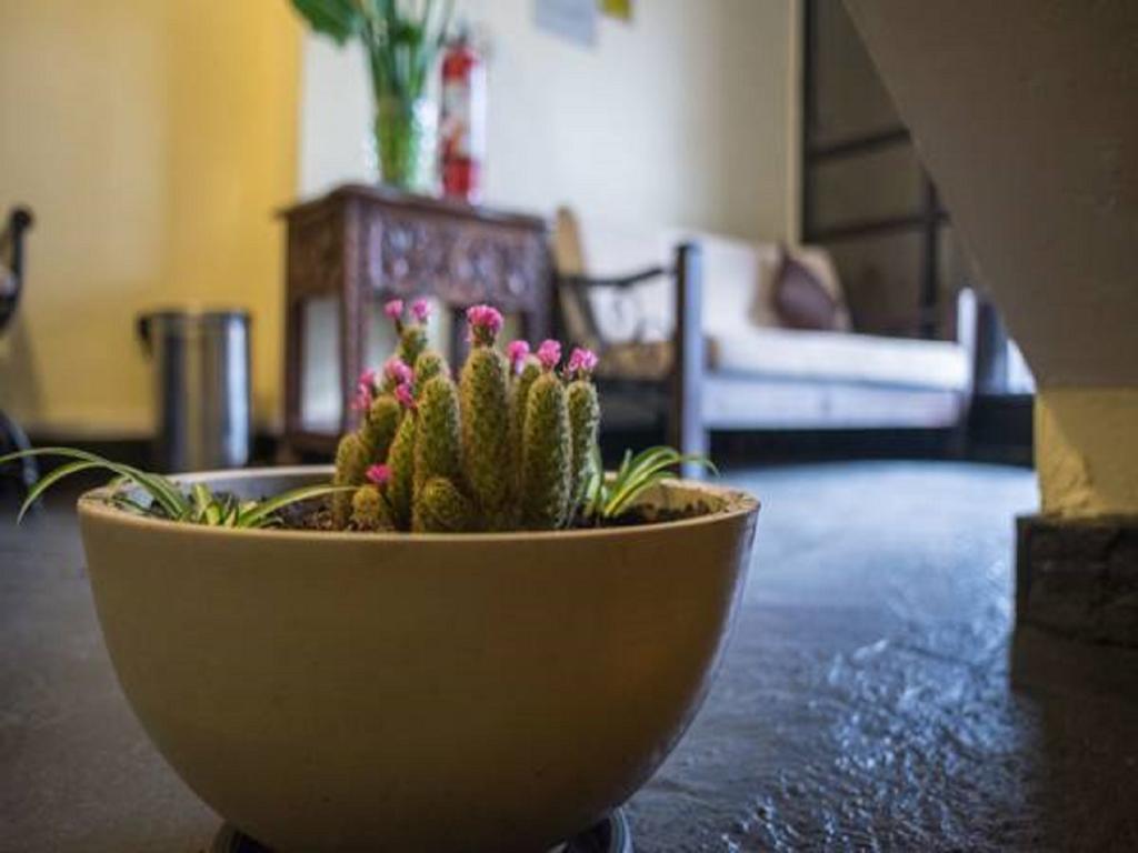 Tecte Guest House Куско Экстерьер фото